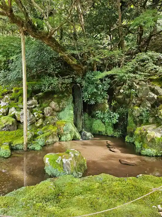 慈照寺(慈照禅寺・銀閣寺)(京都府)