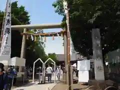 浅草神社の鳥居