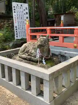 長岡天満宮の狛犬