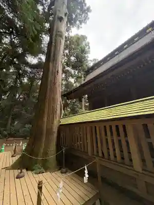 鹿島神宮(茨城県)