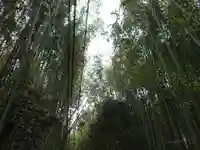 野宮神社(京都府)