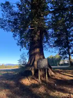 那須神社(栃木県)