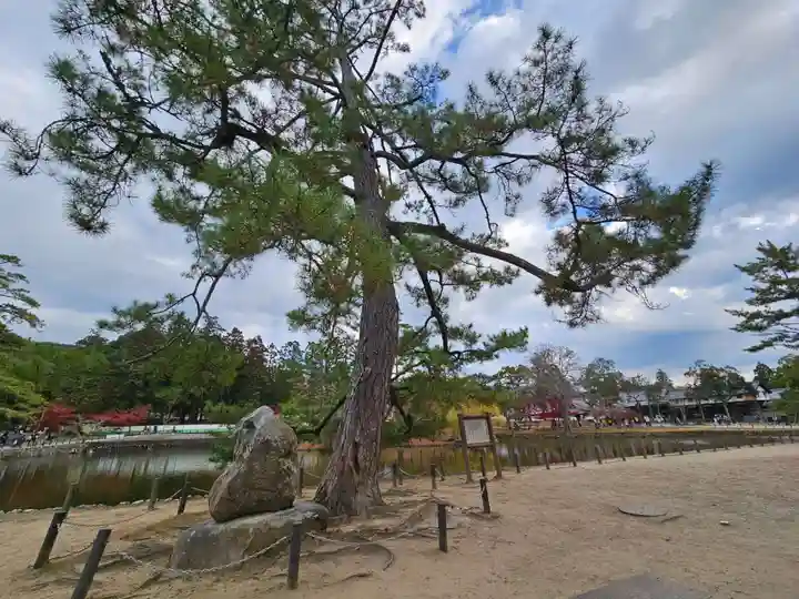 東大寺(奈良県)