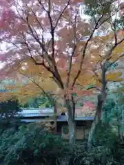 瑞泉寺(神奈川県)