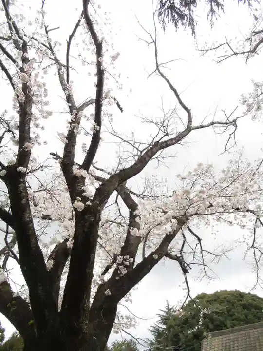伏木香取神社(茨城県)