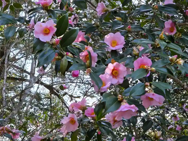 和氣神社(和気神社)(岡山県)
