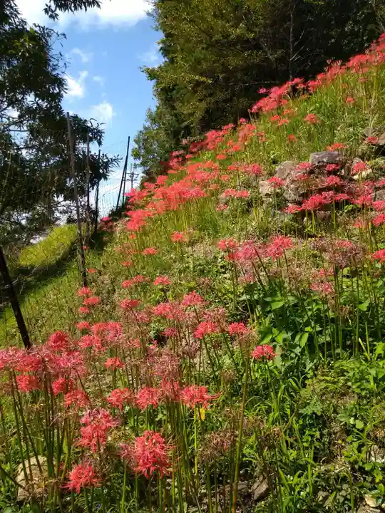 仏隆寺(奈良県)