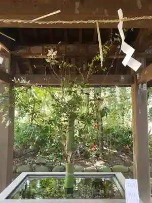 赤坂氷川神社(東京都)