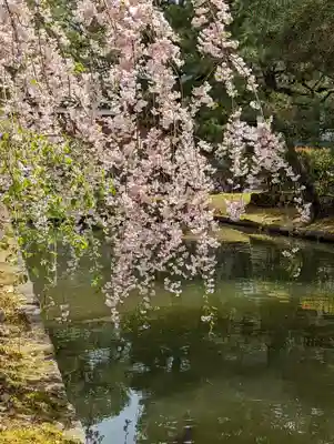 建仁寺（建仁禅寺）(京都府)