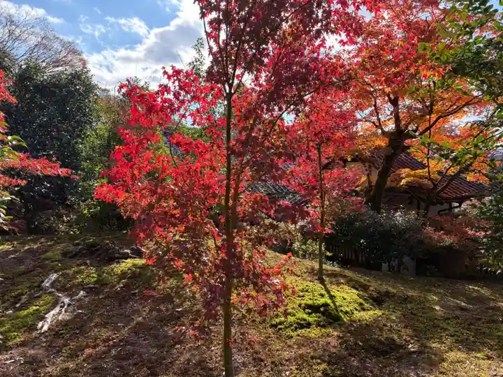 霊鑑寺門跡(京都府)