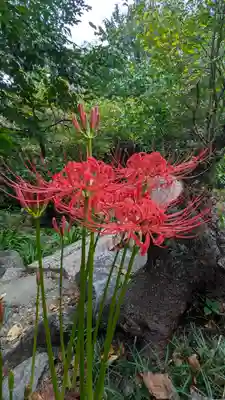 平野神社(京都府)
