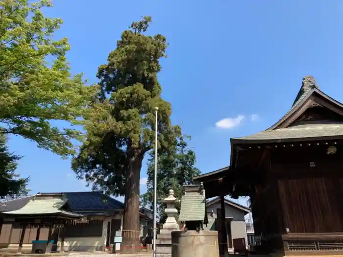 熊野神社の建物その他