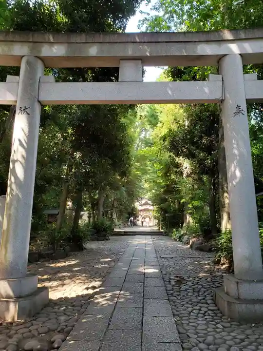 代々木八幡宮の鳥居