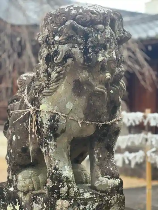 縣神社の狛犬