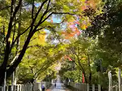 向日神社の鳥居