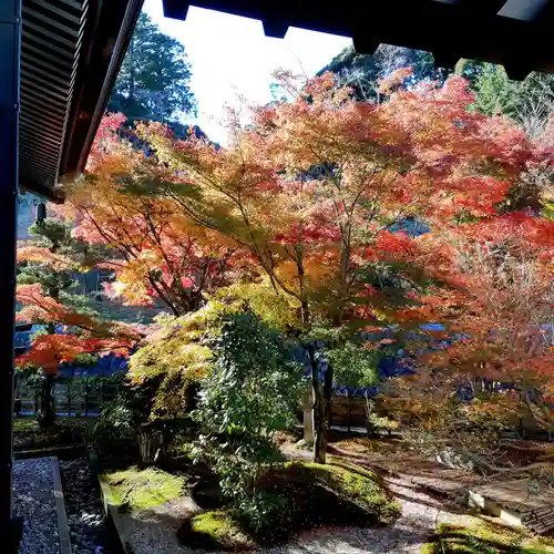 尊永寺の庭園