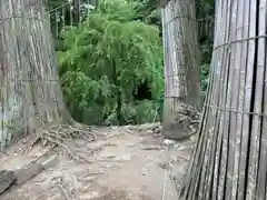 妙義神社(群馬県)