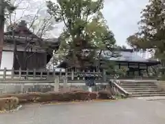 宗忠神社の建物その他