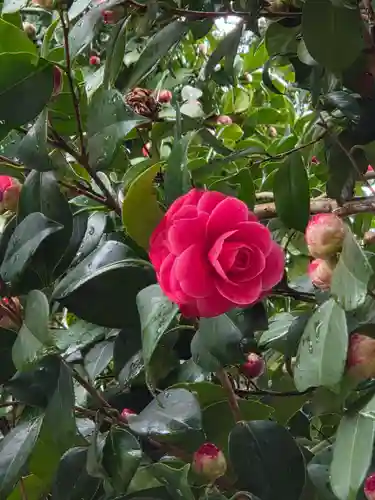 沙沙貴神社(滋賀県)