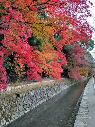 霊鑑寺門跡(京都府)