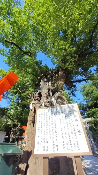 新田神社の自然