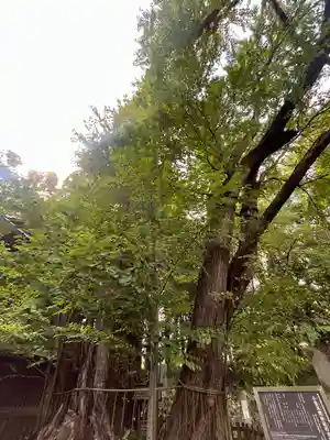 小室浅間神社(山梨県)