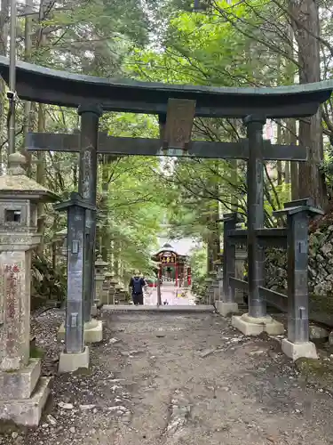 三峯神社(埼玉県)
