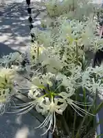 本妙寺(千葉県)