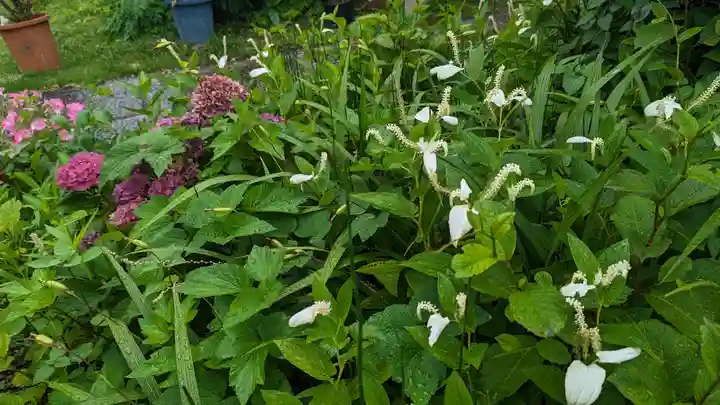 権現寺(京都府)