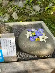 正寿院(京都府)