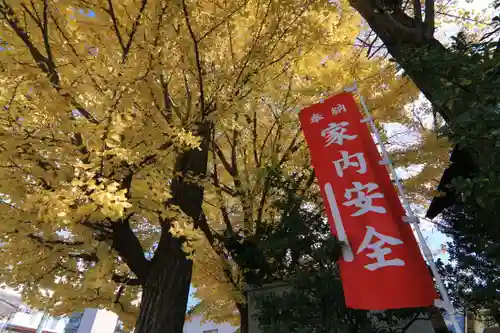 阿邪訶根神社の自然