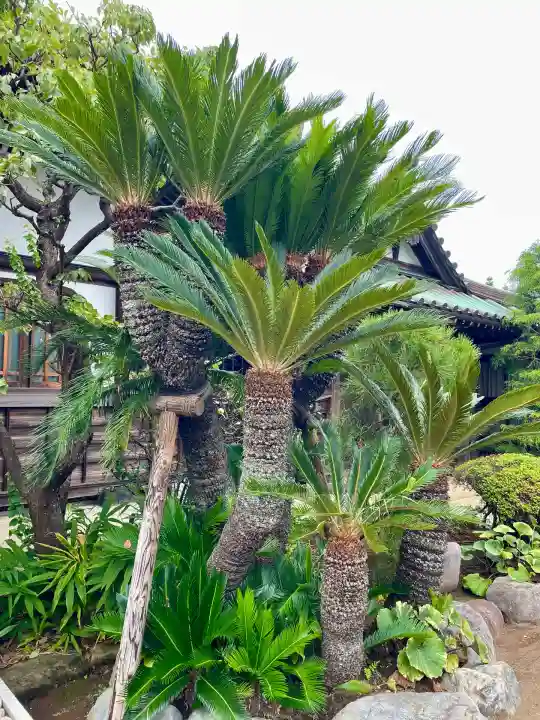 本瑞寺(神奈川県)