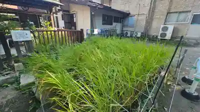 甲斐國一宮 浅間神社(山梨県)
