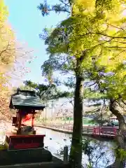 間々田八幡宮(栃木県)