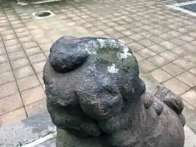 高輪神社の狛犬