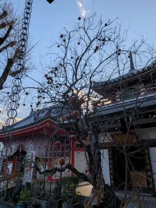 成願寺(東京都)
