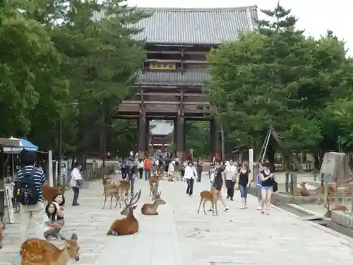 東大寺の動物