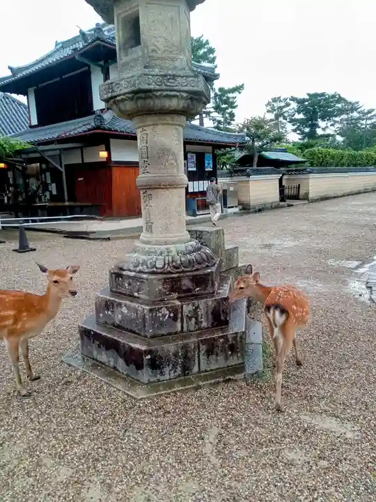 興福寺 一言観音堂(奈良県)