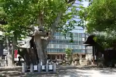 阿邪訶根神社の景色