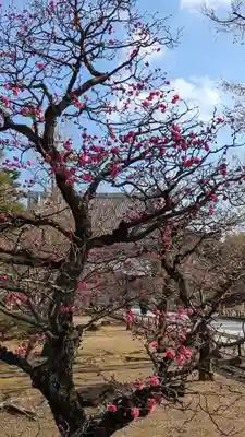  智積院(京都府)