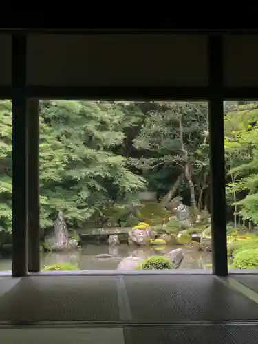 蓮華寺（洛北蓮華寺）の庭園