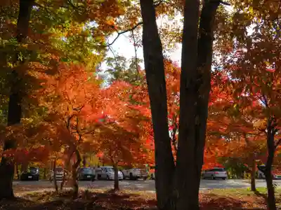 塔のへつり(福島県)