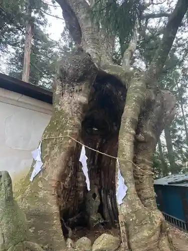 黒沼神社(福島県)