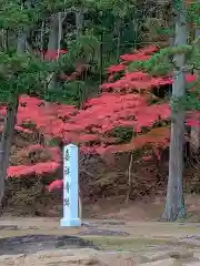 毛越寺(岩手県)