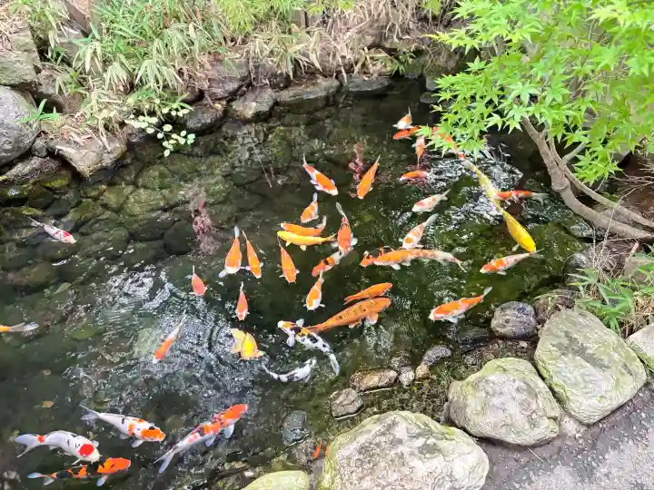 秩父神社(埼玉県)