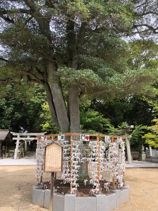 阿智神社の自然