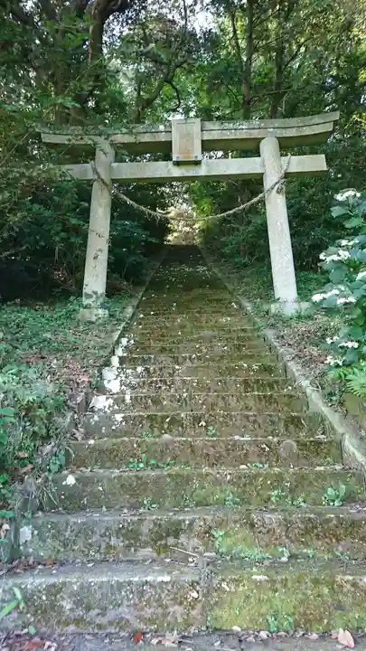 鷲神社の鳥居