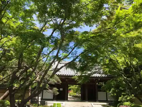 宝珠山　観泉寺の山門・神門