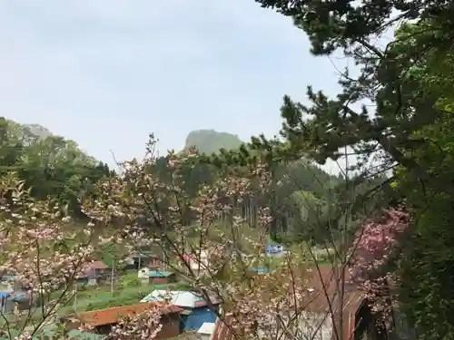 白鹿松神社の自然