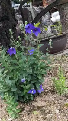 勝龍寺(京都府)